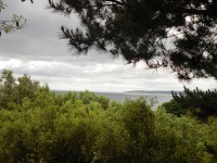 /album/fotogalerie/bournemouth-jpg/